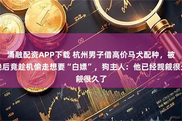 涌融配资APP下载 杭州男子借高价马犬配种,被拒绝后竟趁机偷走想要“白嫖”,狗主人:他已经觊觎很久了